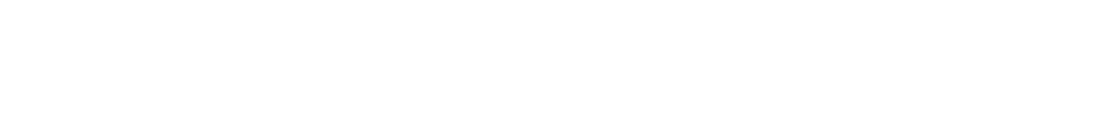 SkynexAI